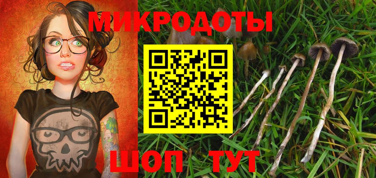 Галлюциногенные грибы Psilocybine cubensis  Псилоцибиновые грибы мицелий  Вход с VPN  Саянск 