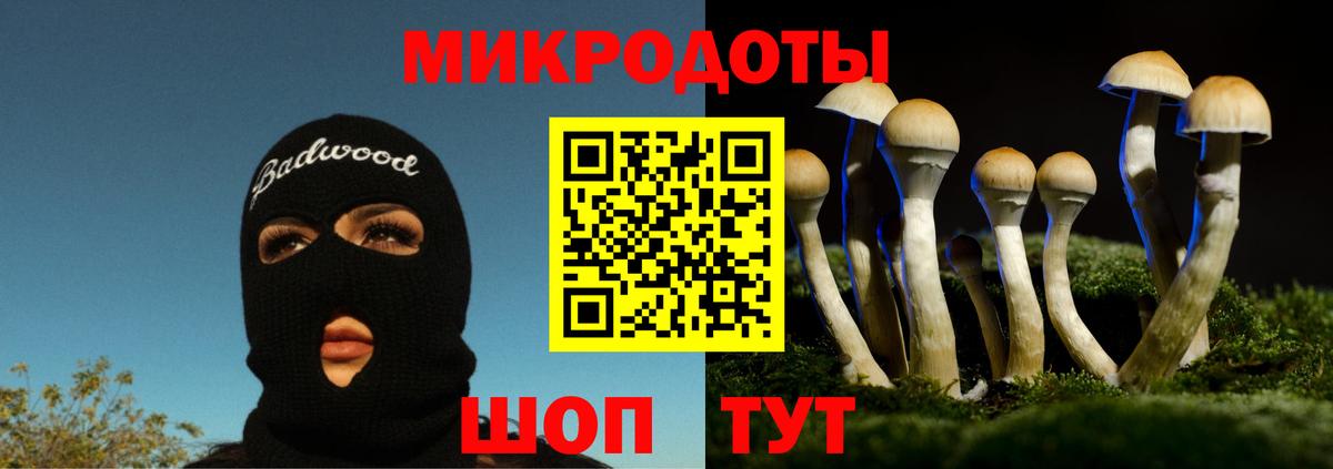 Псилоцибиновые грибы мухоморы Саянск